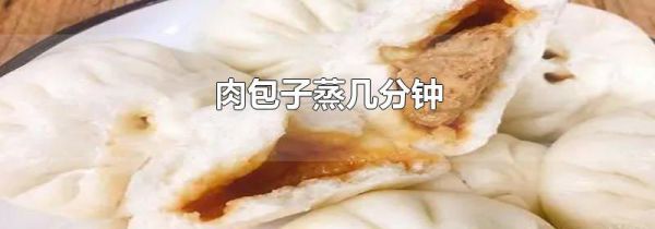 肉包子蒸几分钟