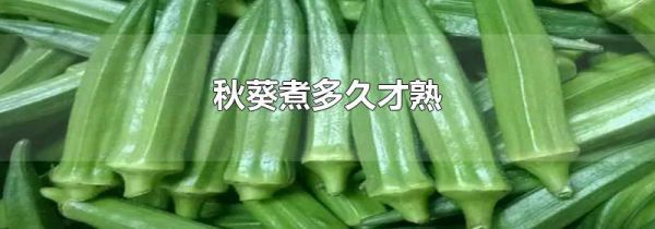 秋葵煮多久才熟