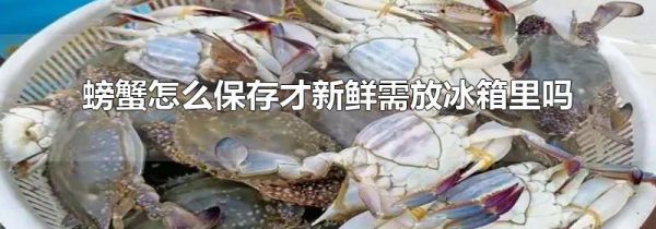 螃蟹怎么保存才新鲜需放冰箱里吗