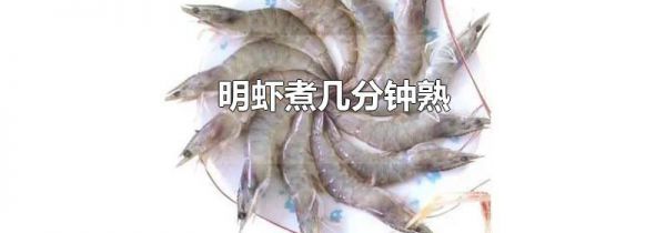 明虾煮几分钟熟