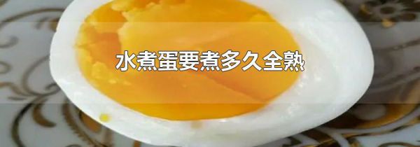 水煮蛋要煮多久全熟