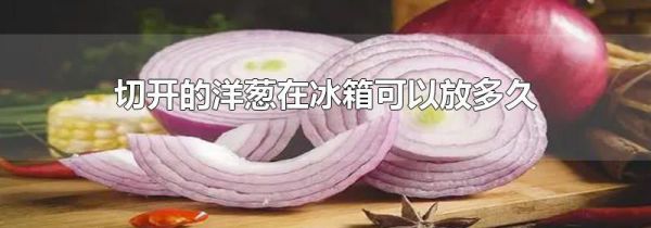 切开的洋葱在冰箱可以放多久