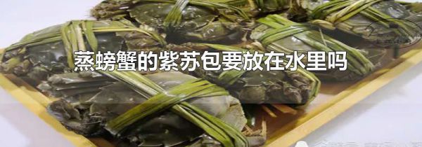 蒸螃蟹的紫苏包要放在水里吗