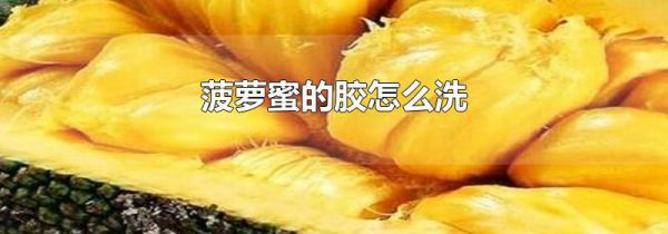菠萝蜜的胶怎么洗