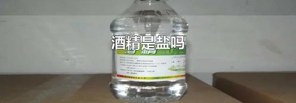 酒精是盐吗