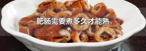 肥肠需要煮多久才能熟