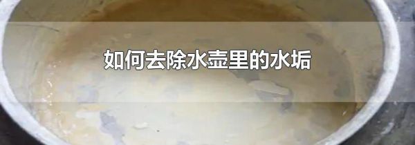 如何去除水壶里的水垢