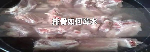 排骨如何焯水