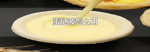 蛋挞液怎么用