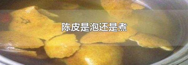 陈皮是泡还是煮