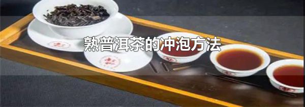 熟普洱茶的冲泡方法