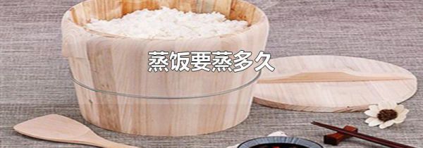 蒸饭要蒸多久
