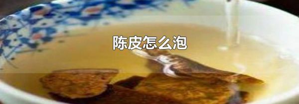 陈皮怎么泡