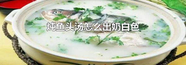 炖鱼头汤怎么出奶白色