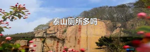 泰山厕所多吗