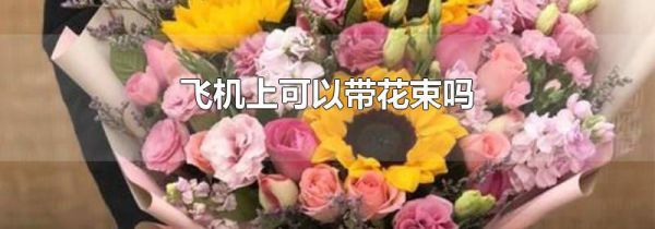 飞机上可以带花束吗