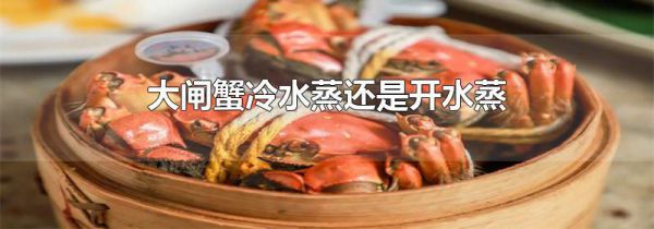 大闸蟹冷水蒸还是开水蒸