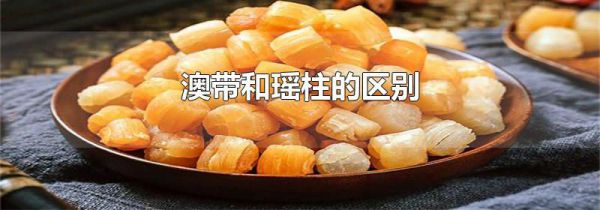 澳带和瑶柱的区别