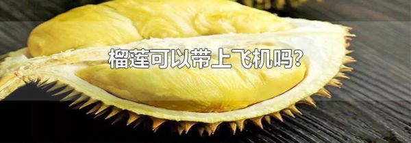 榴莲可以带上飞机吗?