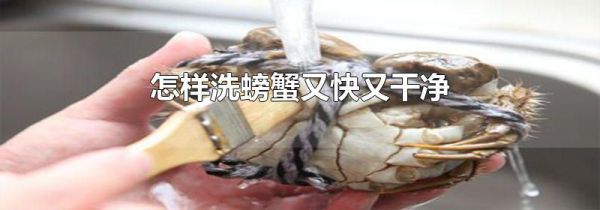 怎样洗螃蟹又快又干净