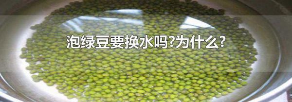 泡绿豆要换水吗?为什么?