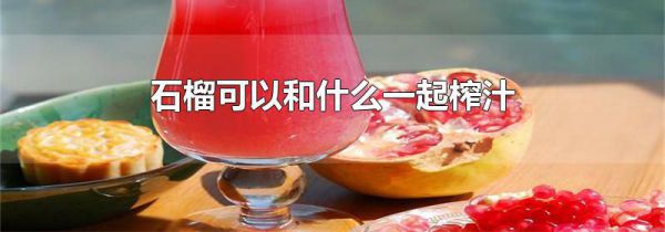 石榴可以和什么一起榨汁
