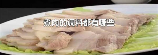 煮肉的调料都有哪些