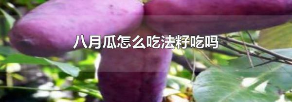 八月瓜怎么吃法籽吃吗