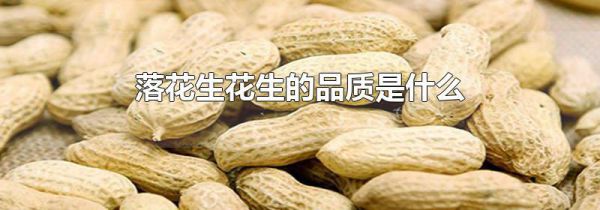 落花生花生的品质是什么