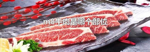 m8牛肉是哪个部位