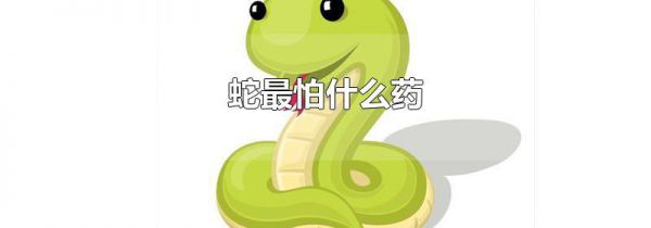 蛇最怕什么药
