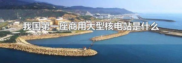 我国第一座商用大型核电站是什么