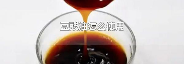 豆豉油怎么使用