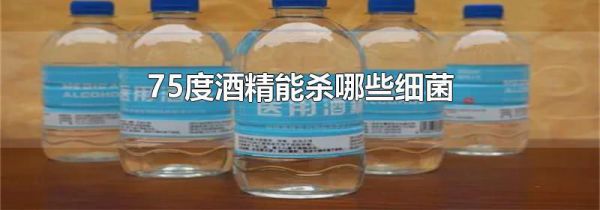 75度酒精能杀哪些细菌
