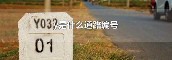 y是什么道路编号