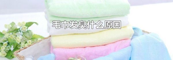毛巾发臭什么原因