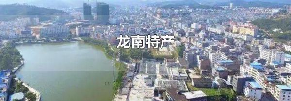 龙南特产