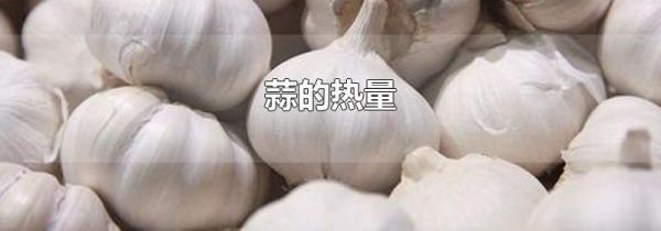 蒜的热量