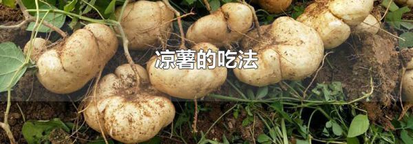 凉薯的吃法