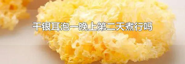 干银耳泡一晚上第二天煮行吗