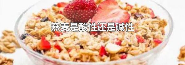 燕麦是酸性还是碱性