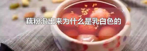 藕粉泡出来为什么是乳白色的