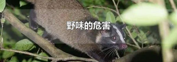 野味的危害