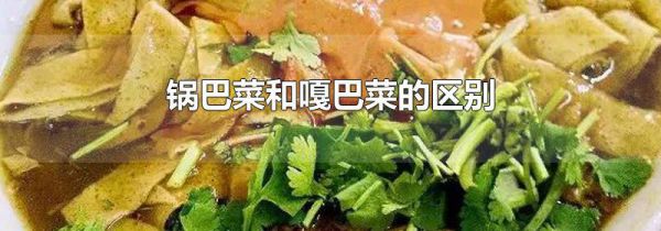 锅巴菜和嘎巴菜的区别