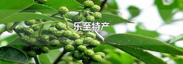乐至特产