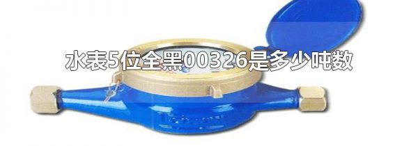 水表5位全黑00326是多少吨数