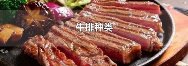 牛排种类
