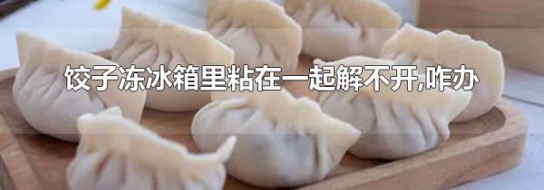 饺子冻冰箱里粘在一起解不开,咋办