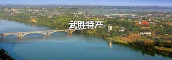 武胜特产