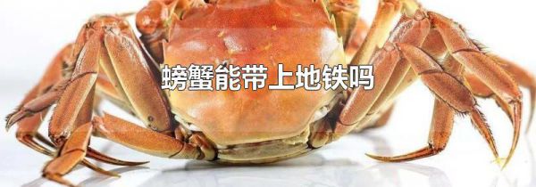 螃蟹能带上地铁吗